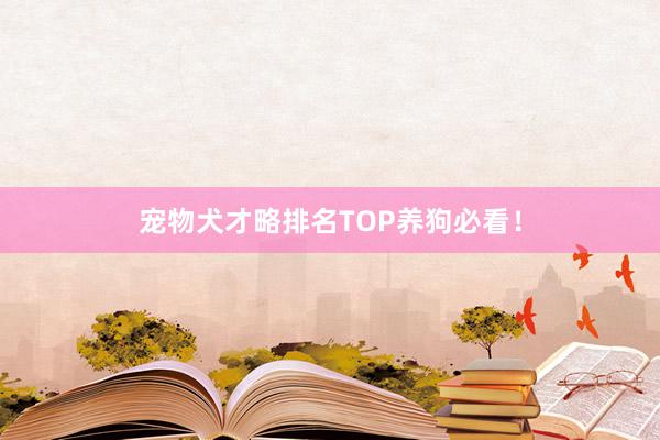 宠物犬才略排名TOP养狗必看！
